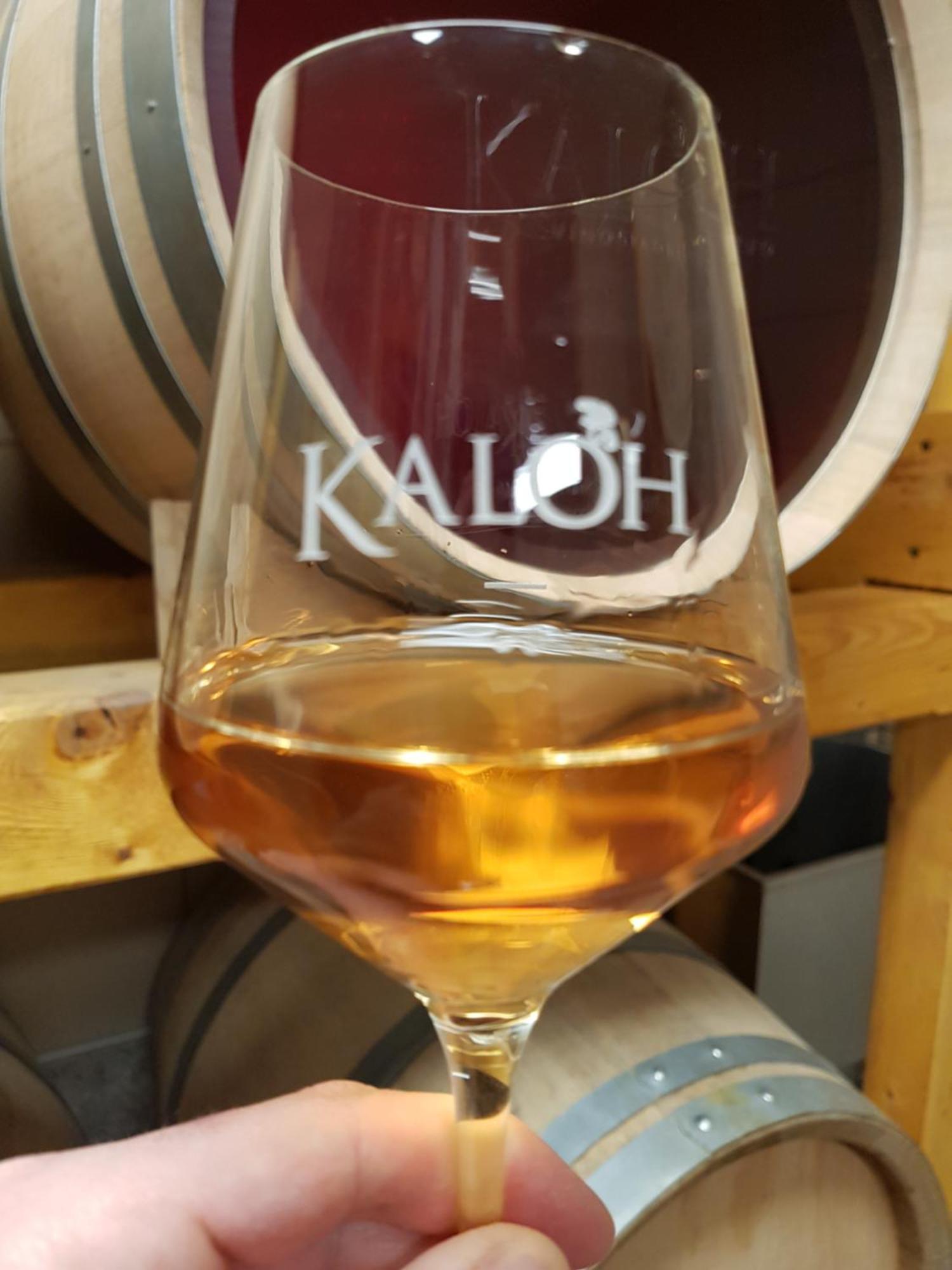 Wine House Kaloh Villa Maribor Luaran gambar