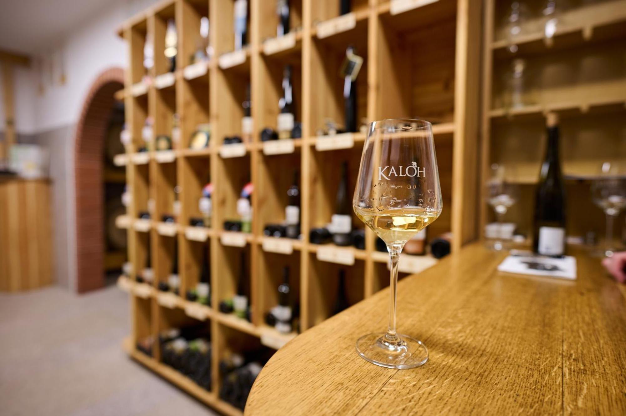 Wine House Kaloh Villa Maribor Luaran gambar