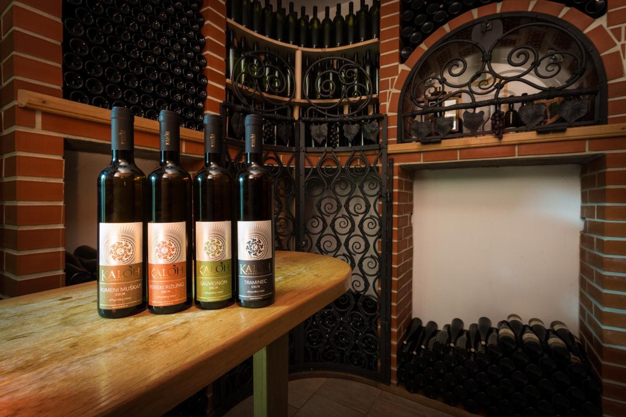 Wine House Kaloh Villa Maribor Luaran gambar