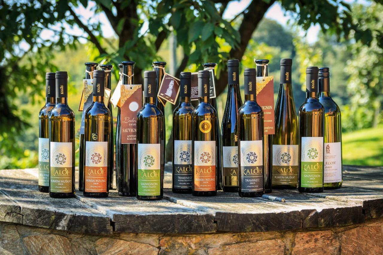 Wine House Kaloh Villa Maribor Luaran gambar