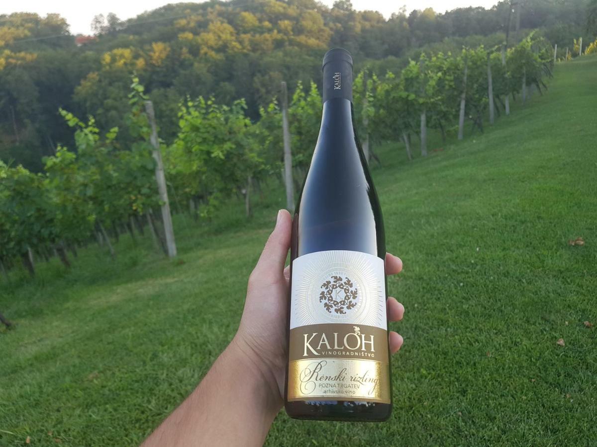 Wine House Kaloh Villa Maribor Luaran gambar