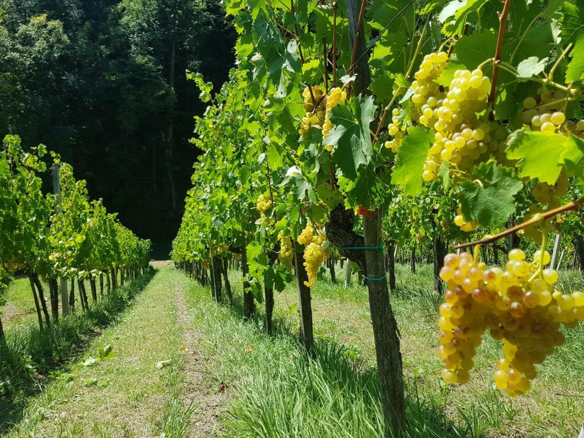 Wine House Kaloh Villa Maribor Luaran gambar