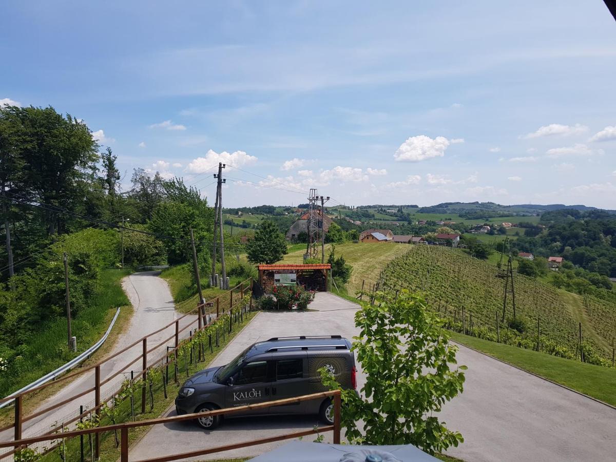 Wine House Kaloh Villa Maribor Luaran gambar